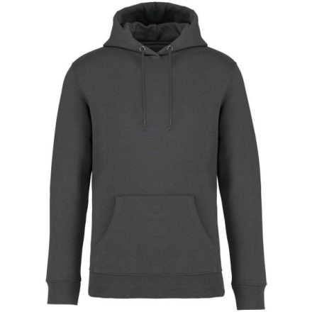 Native Spirit NS401 ECO-FRIENDLY UNISEX HOODED SWEATSHIRT 2XL