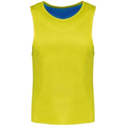 Proact PA048 KID'S REVERSIBLE MULTISPORT BIB 6/10