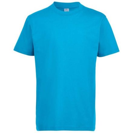 SOL'S SO11770 SOL'S IMPERIAL KIDS' - ROUND NECK T-SHIRT 12A